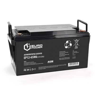 Акумуляторна батарея EUROPOWER AGM EP12-65M6 12 V 65 Ah ( 348 x 168 x 178) Black Q1/48 14262 фото