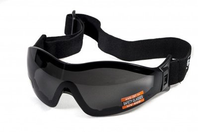 Очки защитные с уплотнителем Global Vision Z-33 (gray) Anti-Fog, серые 1З33-20 фото