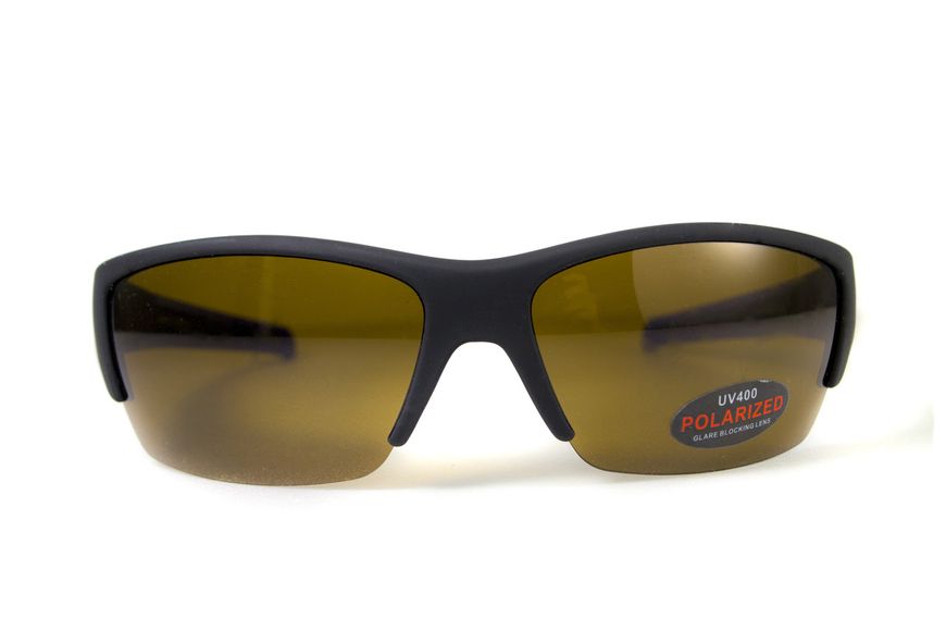 Очки поляризационные BluWater Daytona-2 Polarized (brown) коричневые в черно-синей оправе 4ДЕЙТ2-Г50П фото