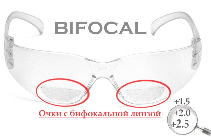 Бифокальные защитные очки Pyramex Intruder Bifocal (+1.5) (clear) прозрачные 2ИНТРБИФ-10Б15 фото