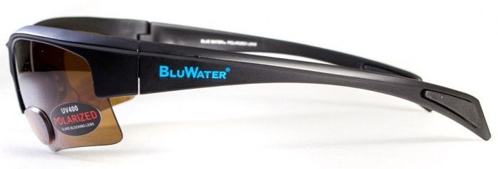 Бифокальные поляризационные очки BluWater Bifocal-2 (+2.5) Polarized (brown) коричневые 4БИФ2-50П25 фото