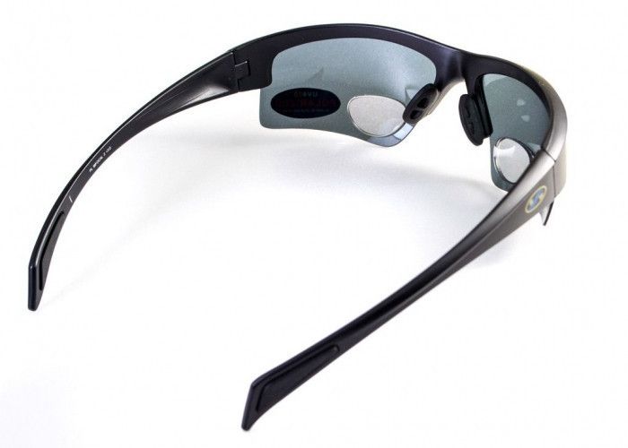 Бифокальные поляризационные очки BluWater Bifocal-2 (+2.5) Polarized (gray) серые 4БИФ2-20П25 фото