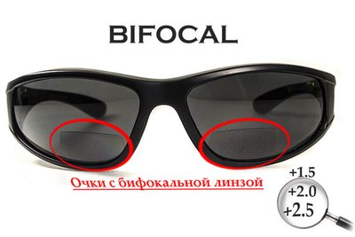 Бифокальные поляризационные защитные очки 3в1 BluWater Winkelman-2 (+2.5) Polarize (gray) серые 4ВИН2БИФ-Д2.5 фото