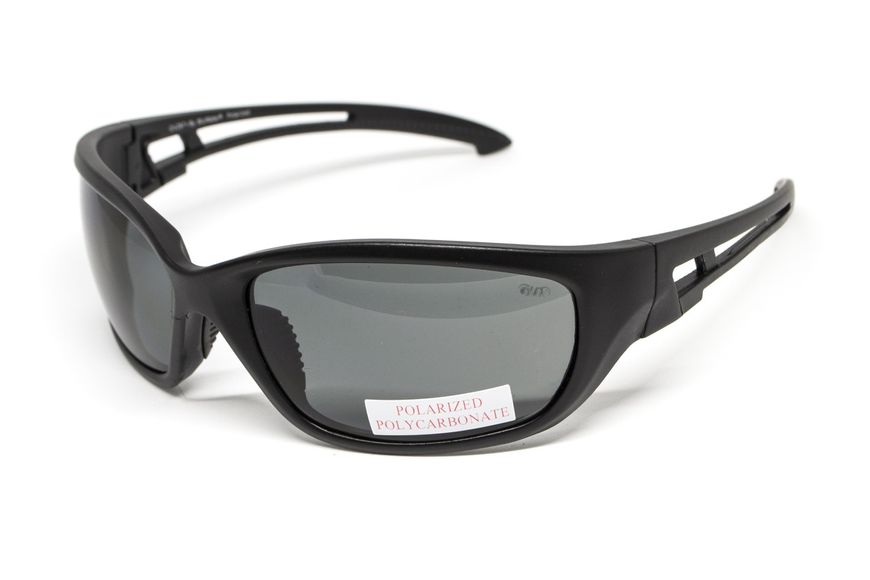 Защитные очки с поляризацией BluWater Seaside Polarized (gray) BW-SEASD-GR2 фото