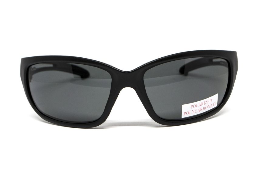 Захисні окуляри з поляризацією BluWater Seaside Polarized (gray) BW-SEASD-GR2 фото