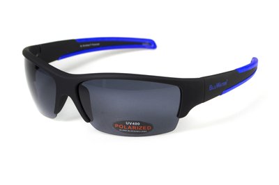 Очки поляризационные BluWater Daytona-2 Polarized (gray) серые в черно-синей оправе 4ДЕЙТ2-Г20П фото